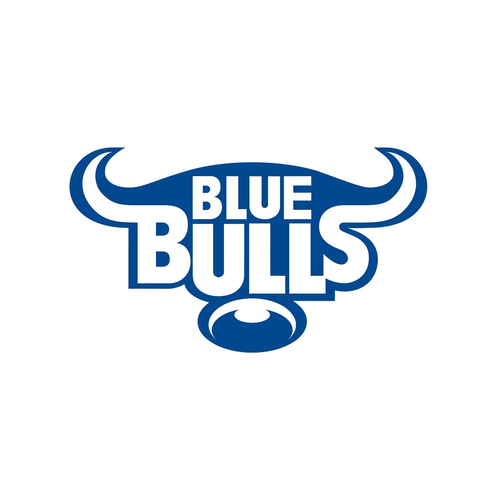 Blue Bulls Flag
