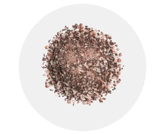 Freddy Hirsch Kalahari Biltong Spice 1kg