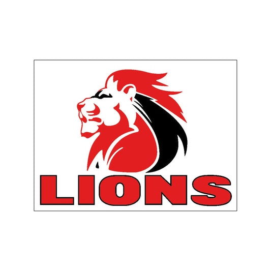Lions Flag