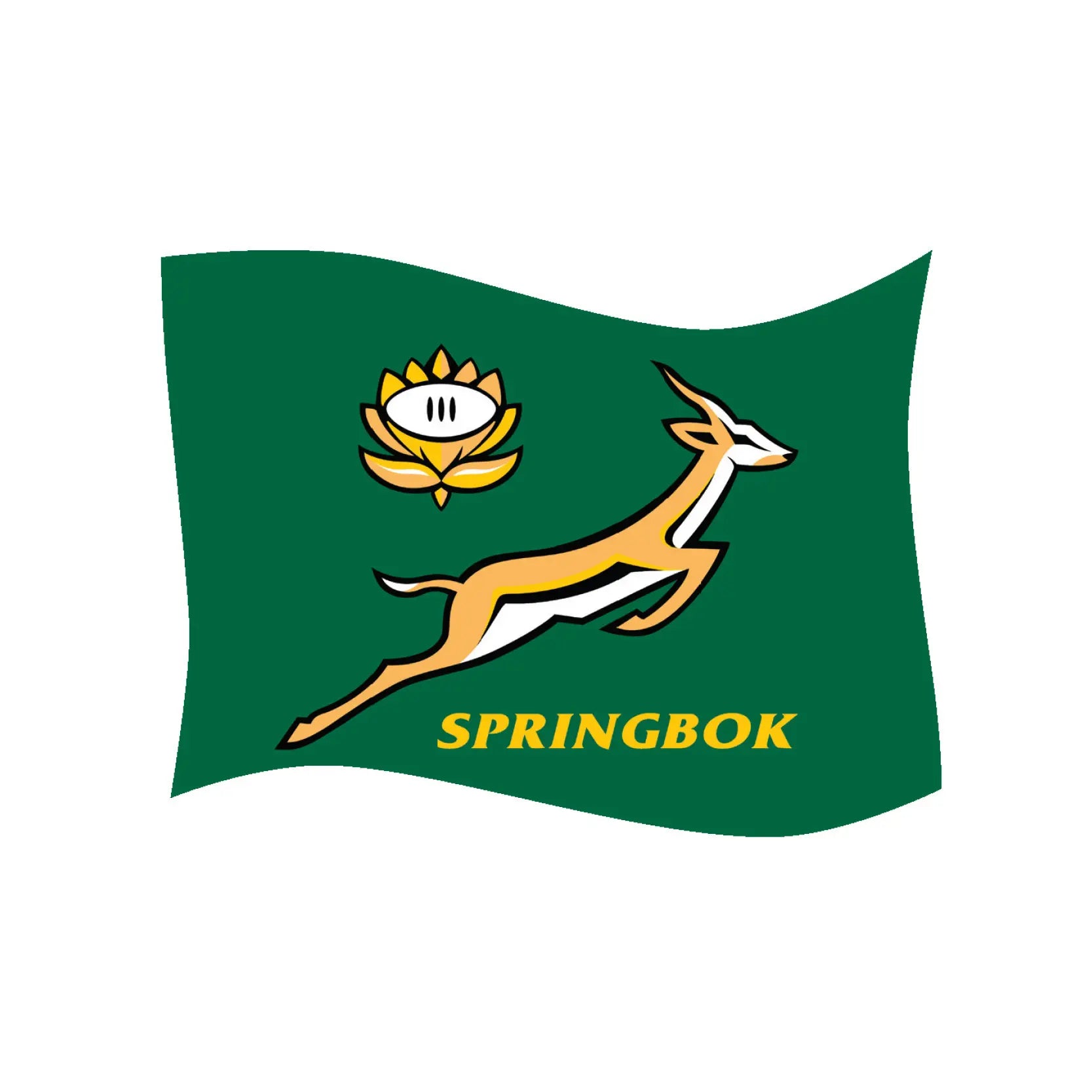 Springbok Flag